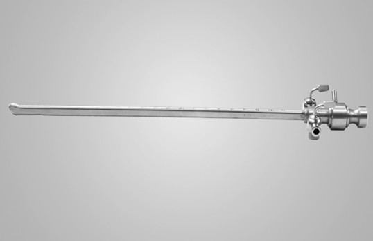 Mirror scabbard and closed